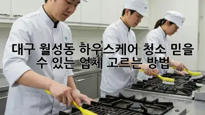 대구 월성동 하우스케어 청소, 믿을 수 있는 업체 고르는 방법!