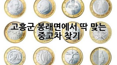 고흥군 봉래면에서 딱 맞는 중고차 찾기!